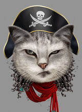 pirate Poster och Canvastavla