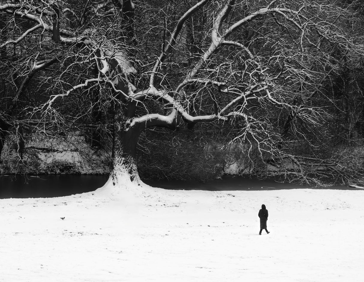 Walk in black and white. Poster och Canvastavla