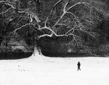 Walk in black and white. Poster och Canvastavla