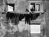 UnderWare Barcode II Poster och Canvastavla