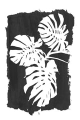 Black Monstera Leaves Silhouette Poster och Canvastavla