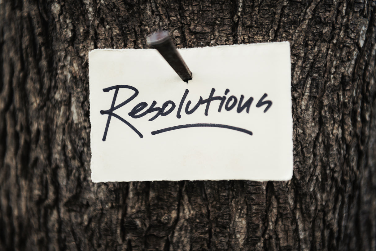 Resolutions Poster och Canvastavla