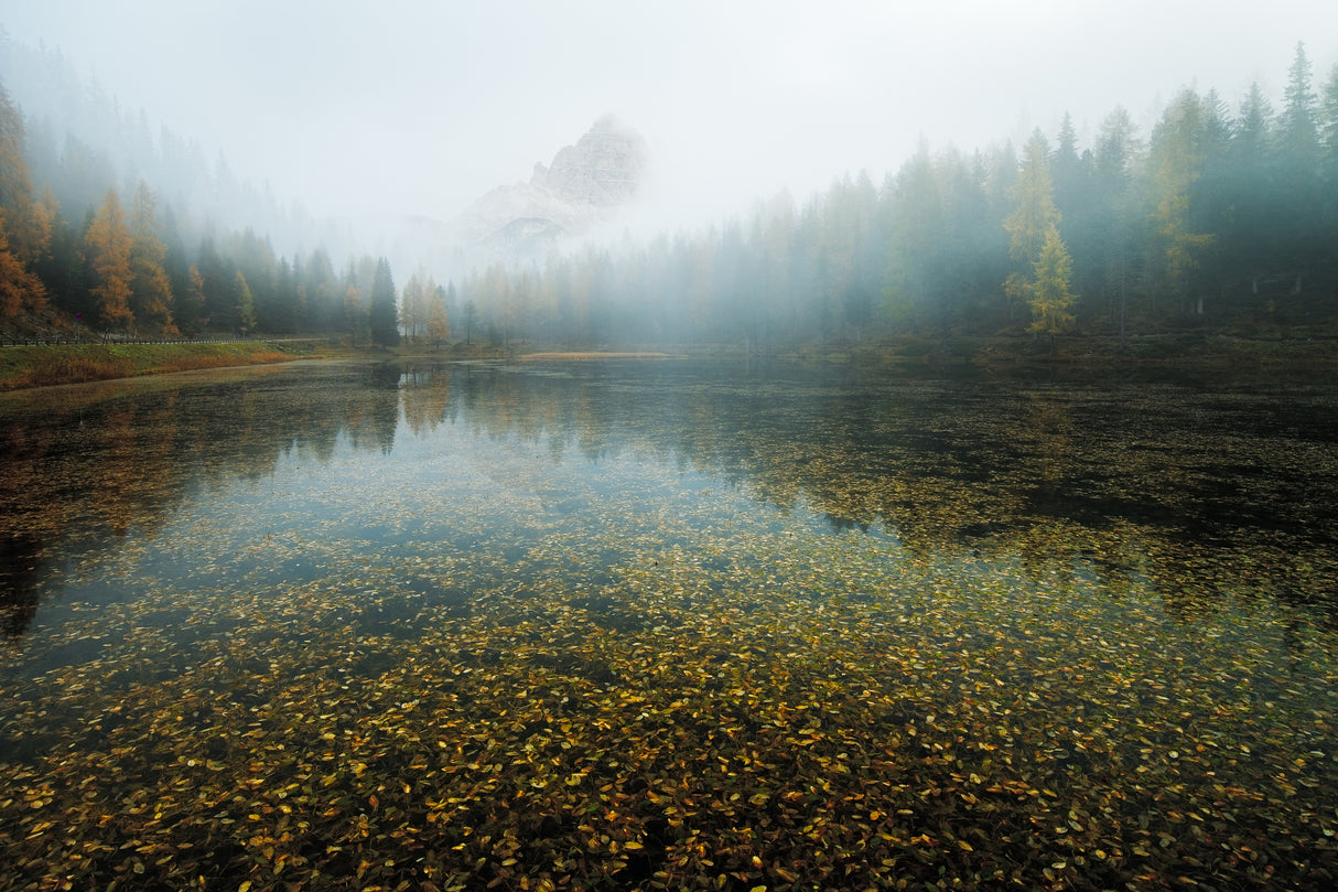 Tre Cime Concealed Poster och Canvastavla