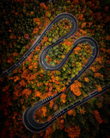 Curves Poster och Canvastavla