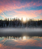 Small lake in the forest Poster och Canvastavla