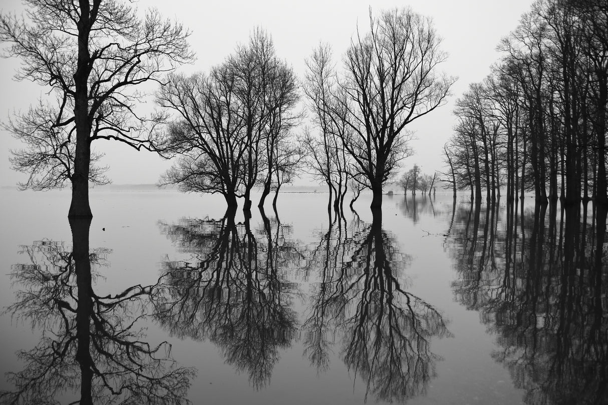 Flood Poster och Canvastavla