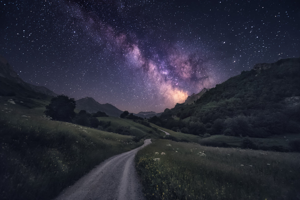 Path to the Stars Poster och Canvastavla