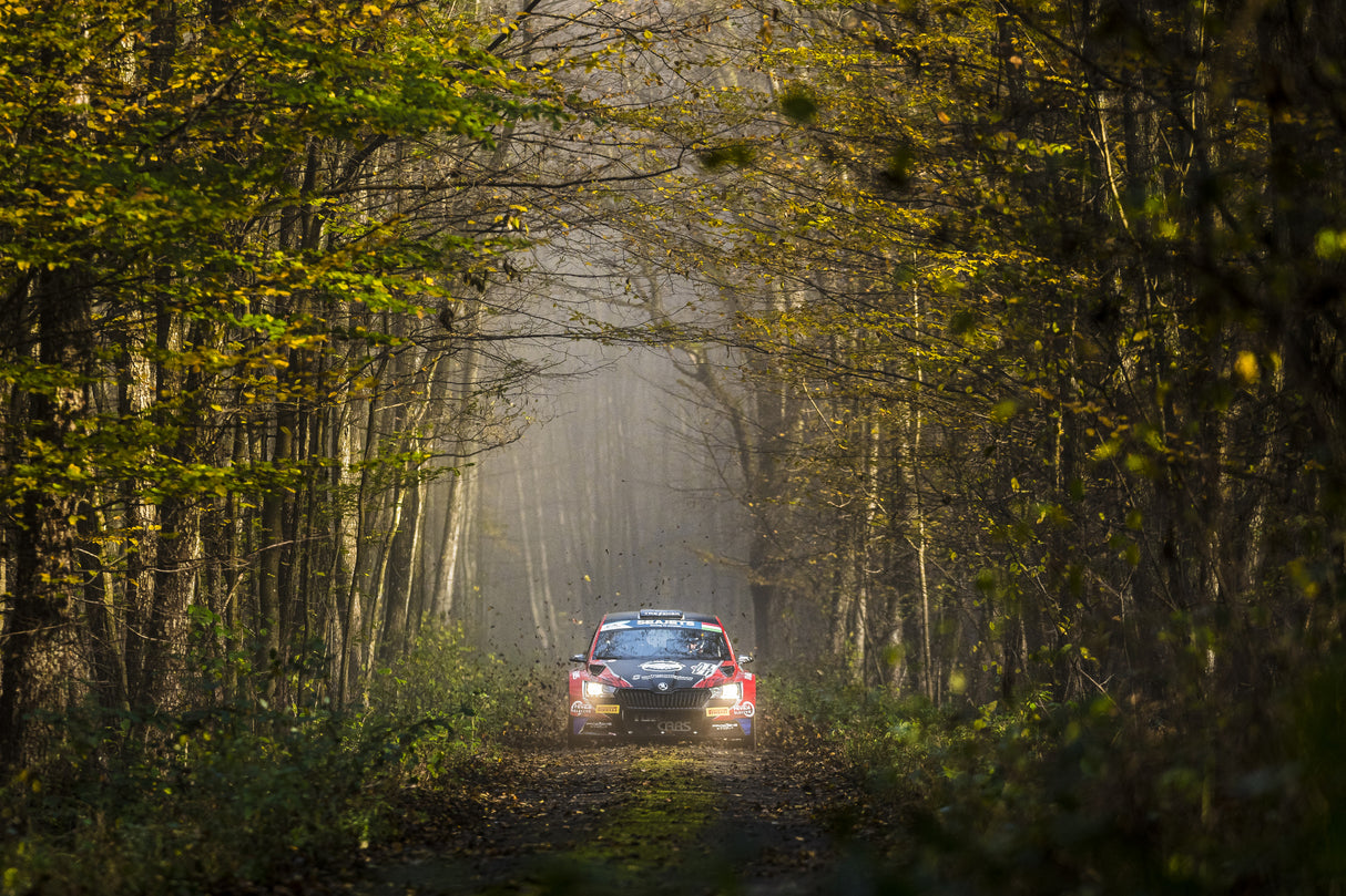 Autumn Rally Story Poster och Canvastavla