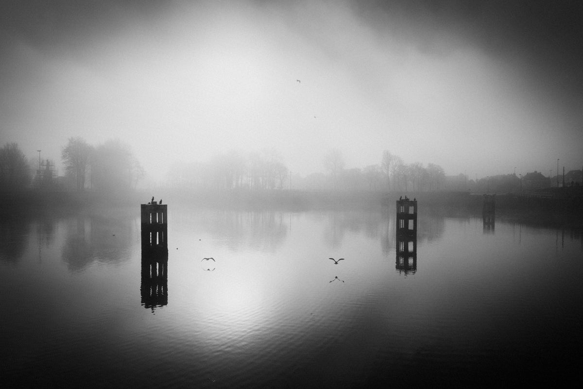 In the misty morning Poster och Canvastavla