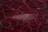 Red Planet Poster och Canvastavla