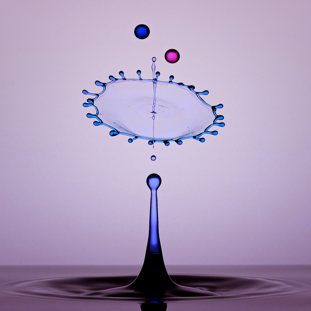 Water Drops Poster och Canvastavla