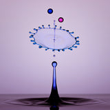 Water Drops Poster och Canvastavla