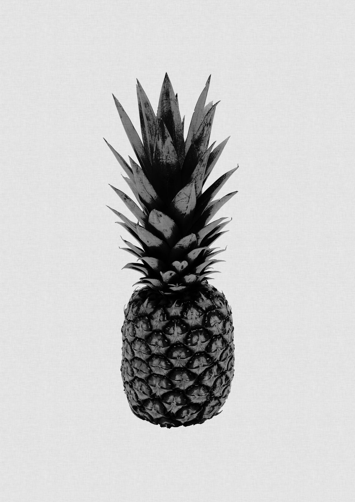 Pineapple Black & White Poster och Canvastavla