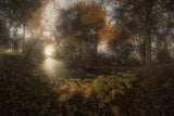 Autumn at Balaine Poster och Canvastavla