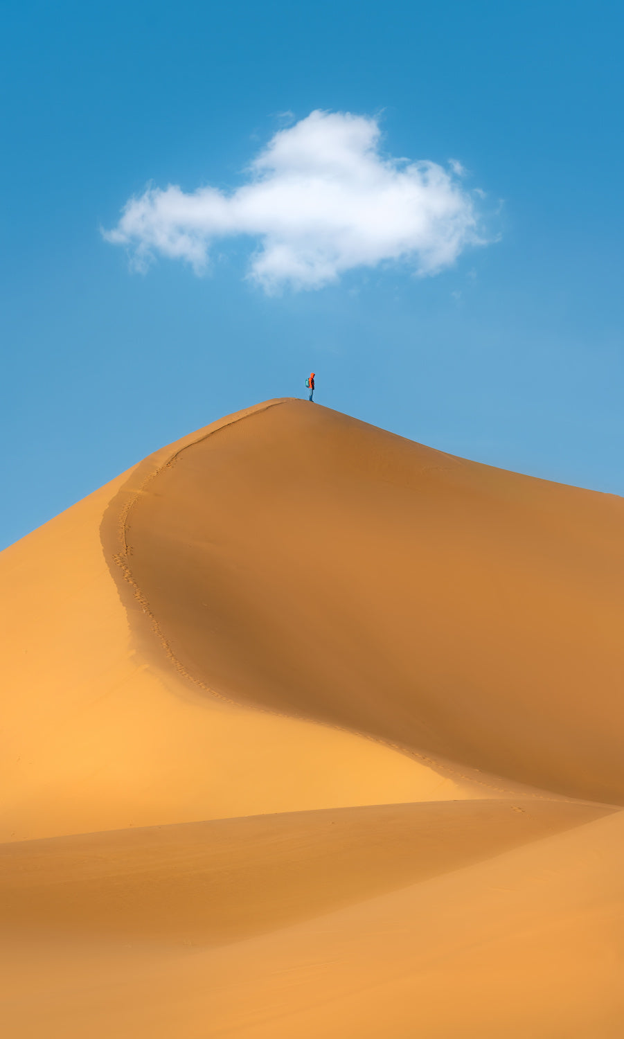 A lonely desert traveler Poster och Canvastavla