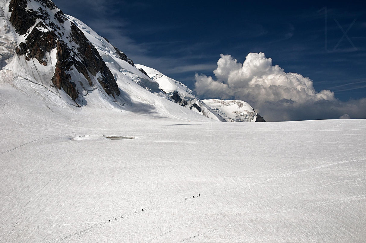 Walking on the glacier Poster och Canvastavla