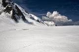 Walking on the glacier Poster och Canvastavla