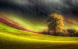 Moravian fields Poster och Canvastavla
