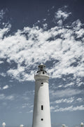 Cape Point Poster och Canvastavla