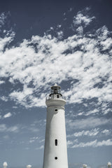 Cape Point Poster och Canvastavla
