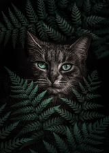 Green Eyes Cat With Ferns Poster och Canvastavla