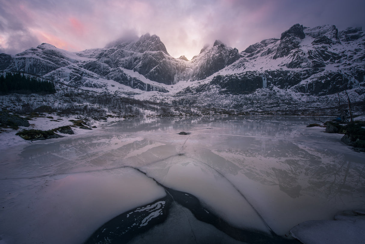 Arctic, Norway Poster och Canvastavla