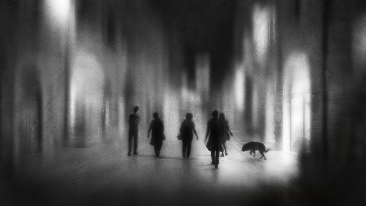 Evening walk Poster och Canvastavla