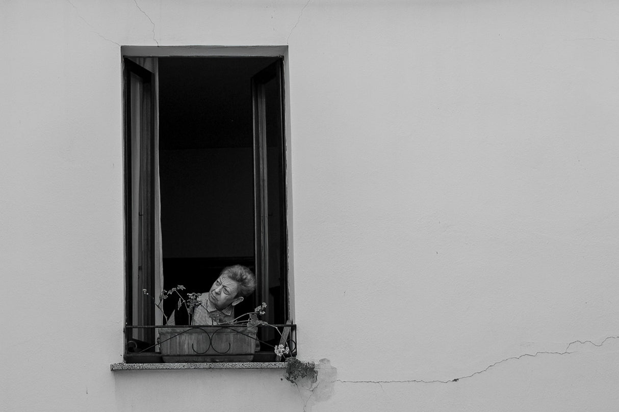 Curiosity at the window Poster och Canvastavla