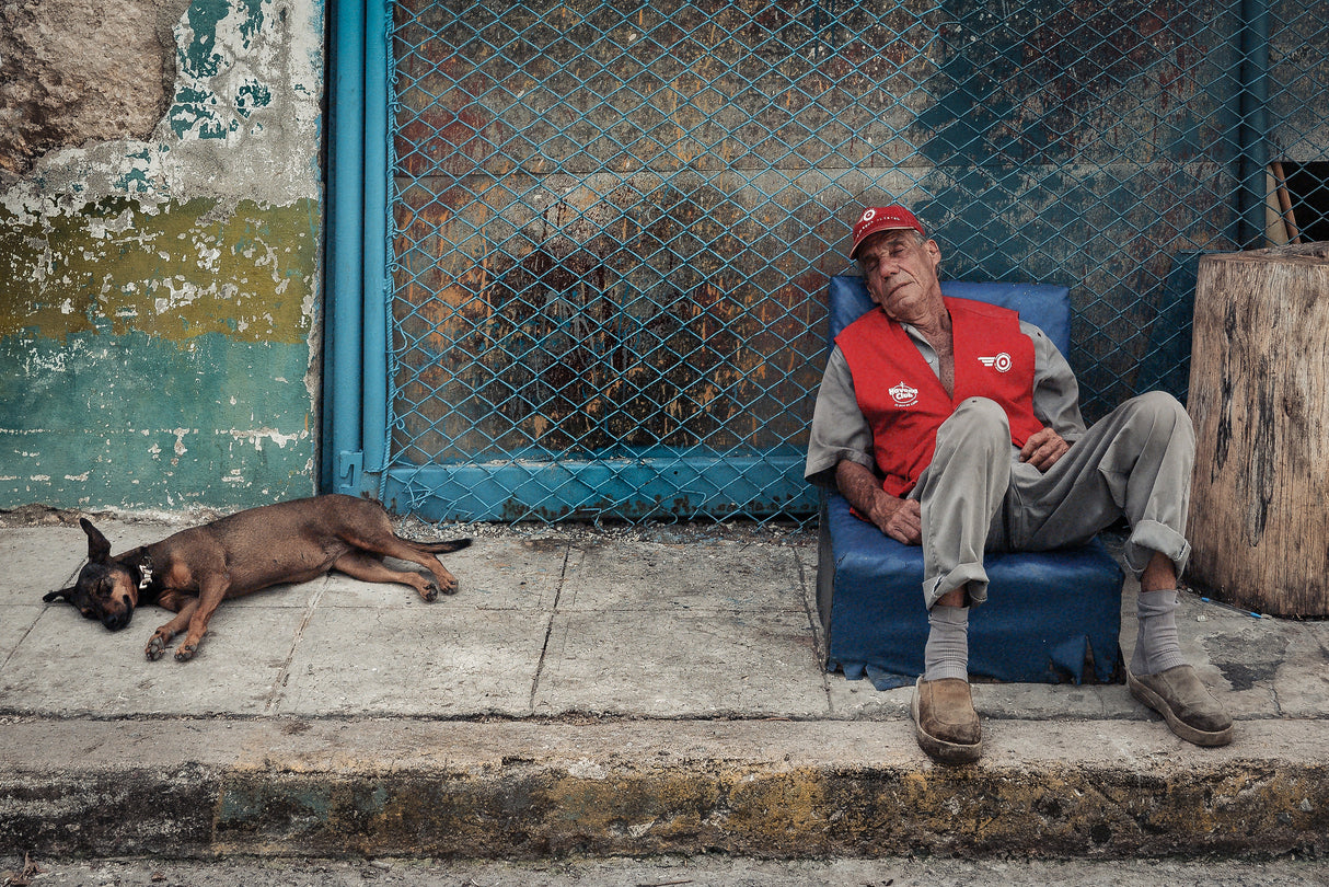 Havana Club Poster och Canvastavla
