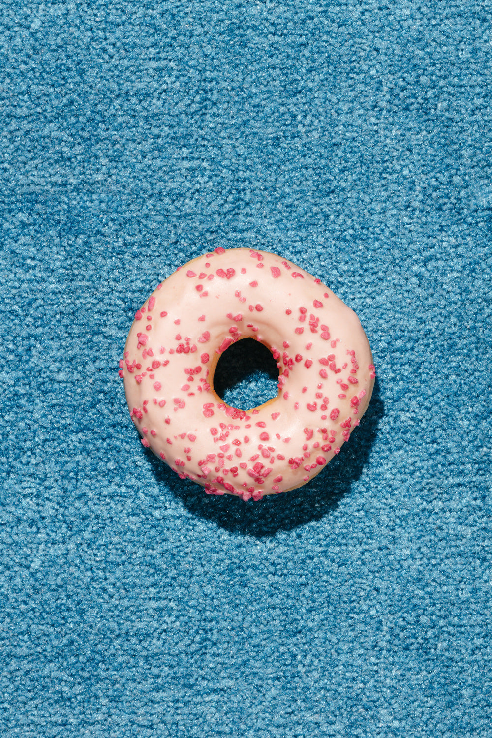 Blue Doughnut Poster och Canvastavla