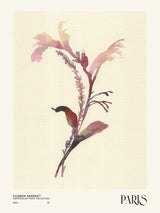Watercolor print collection. Flower market - Paris Poster och Canvastavla