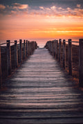 The path Poster och Canvastavla