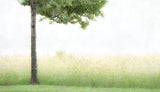 Summer joy Poster och Canvastavla