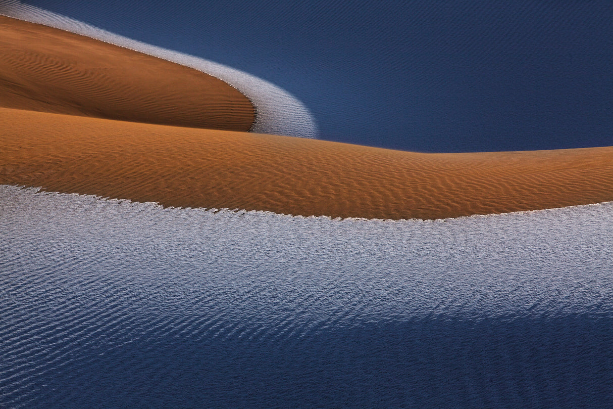 The desert Poster och Canvastavla