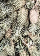 Spiced Pine Poster och Canvastavla