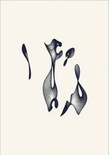 Dancing Torus Poster och Canvastavla