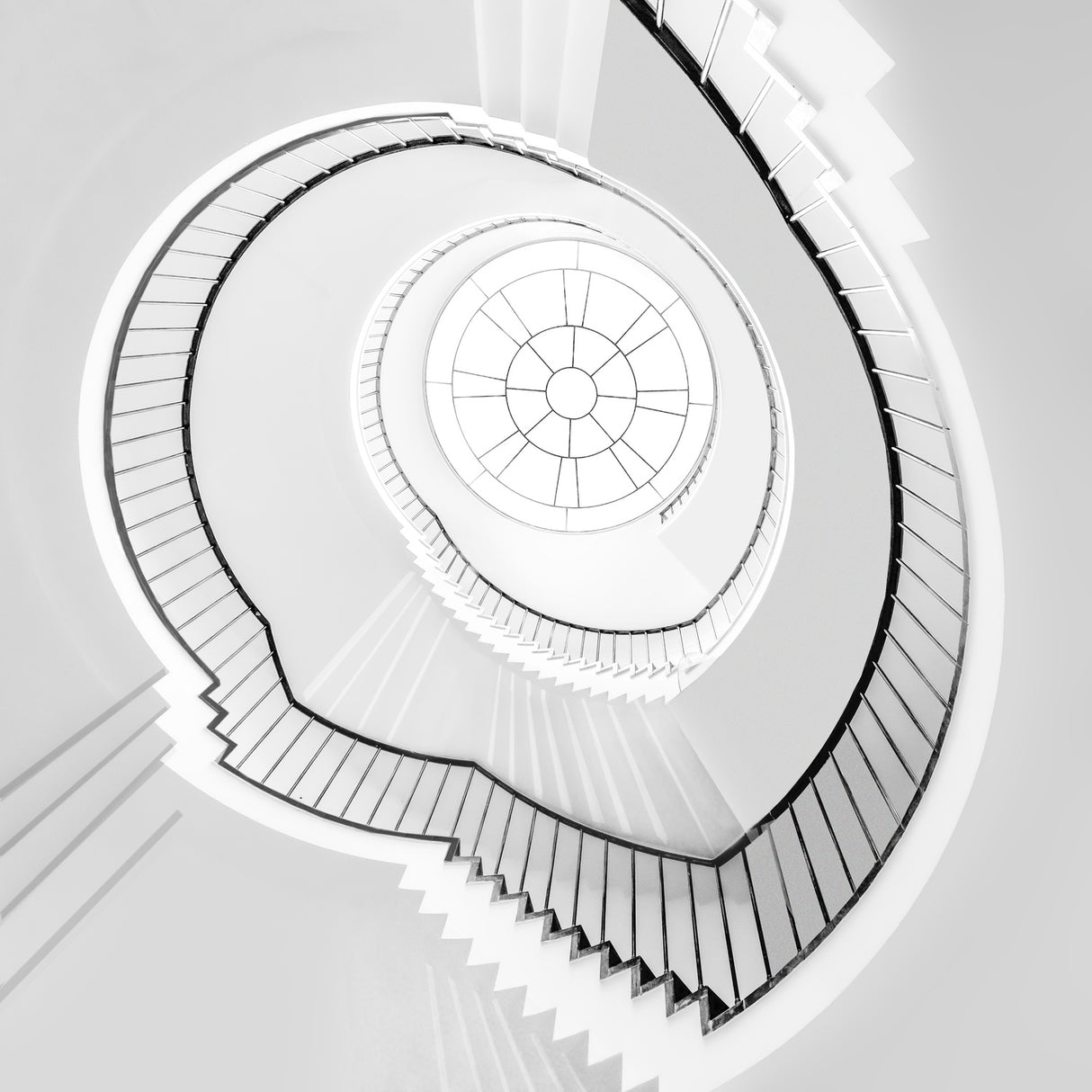 Round And Round Poster och Canvastavla