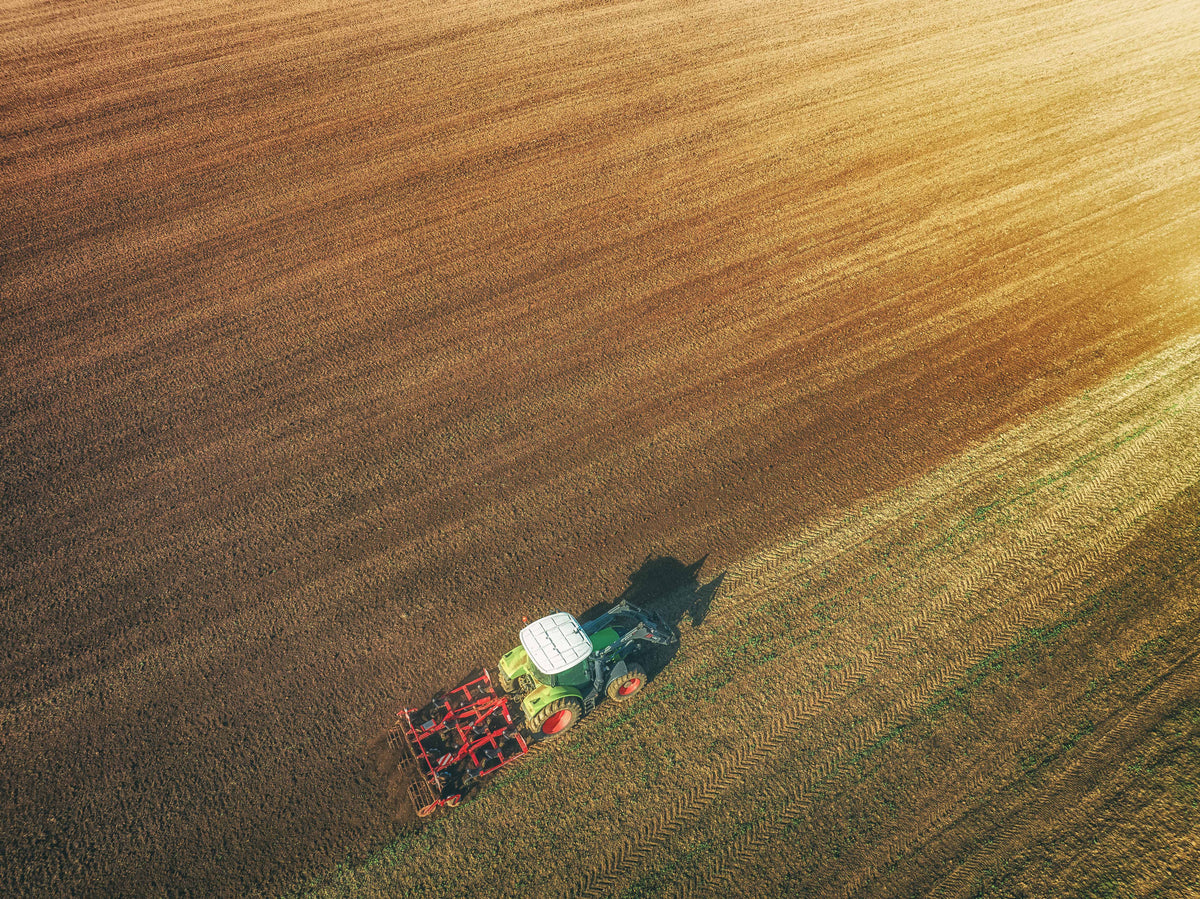 farming Poster och Canvastavla