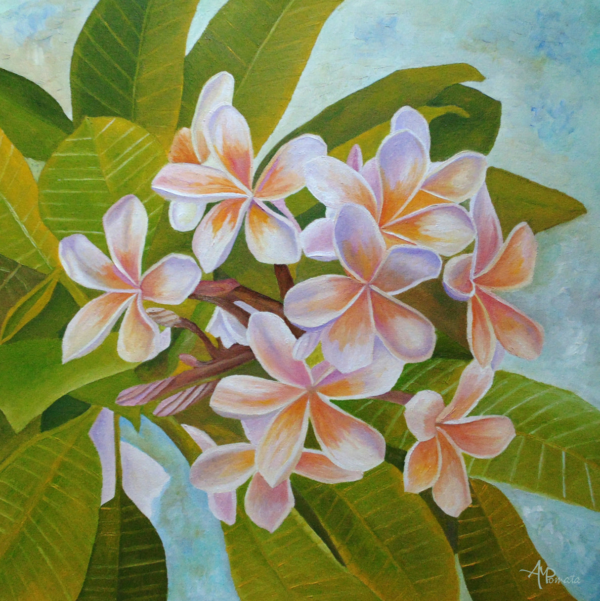 Plumeria Poster och Canvastavla