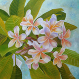 Plumeria Poster och Canvastavla