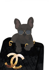 Frenchie in the bag Poster och Canvastavla