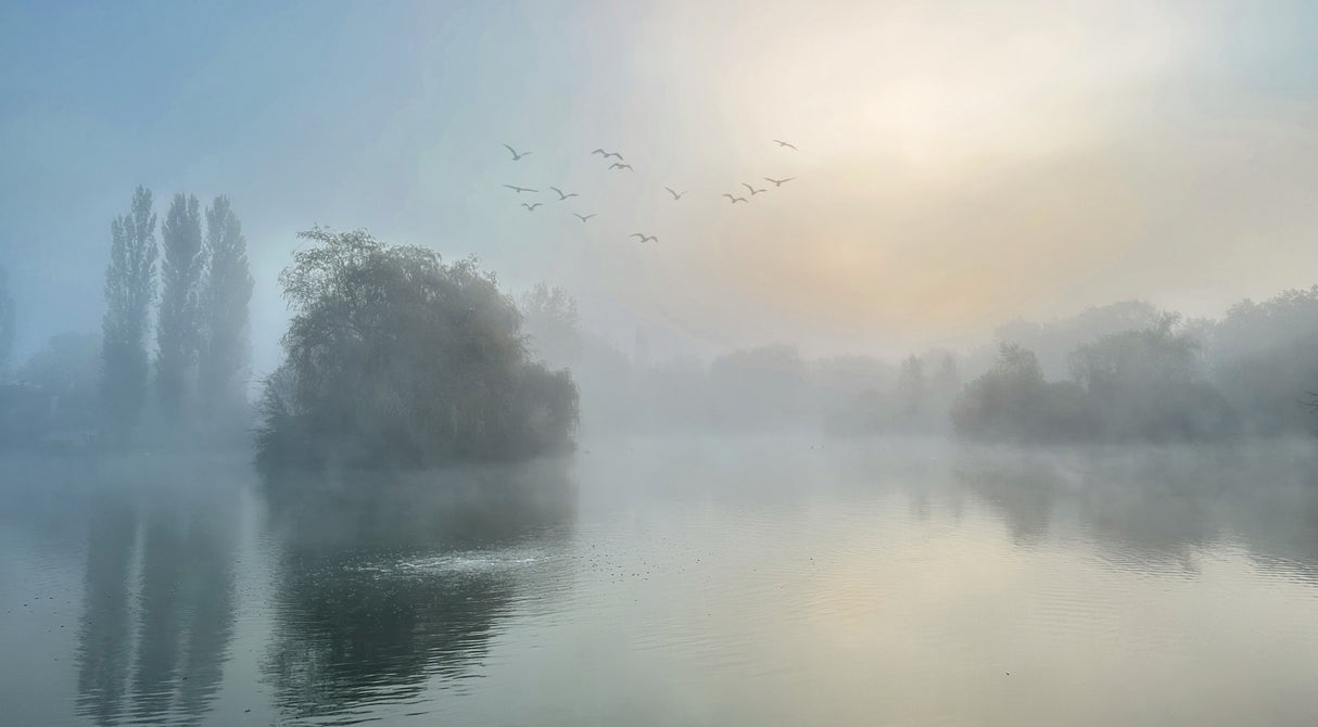 Very Foggy Morning Poster och Canvastavla