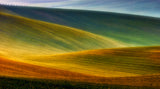 Spring fields Poster och Canvastavla