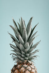 Pineapple Blue 03 Poster och Canvastavla