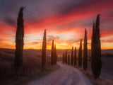 Tuscany sunset Poster och Canvastavla