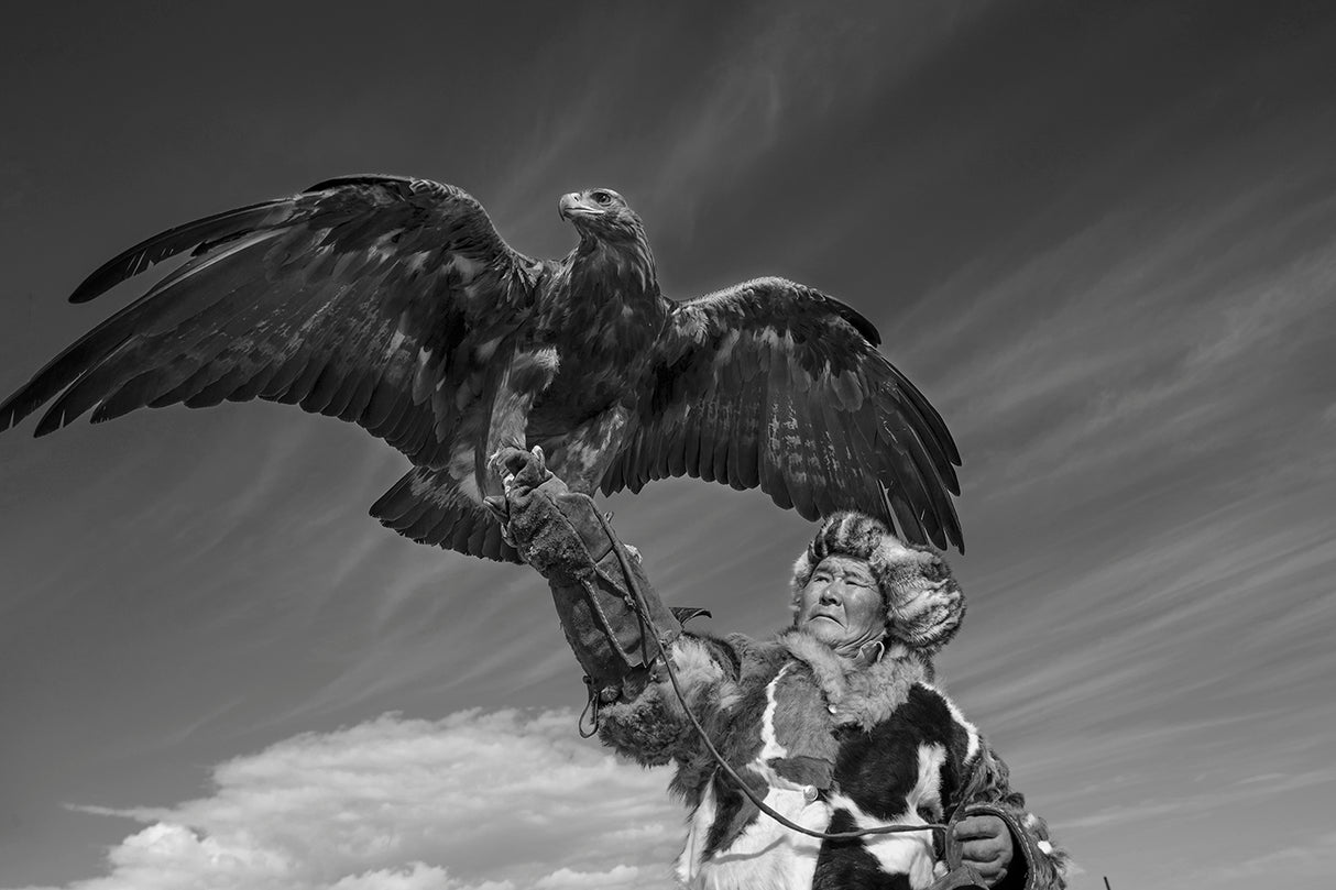 Eagle Hunter Poster och Canvastavla