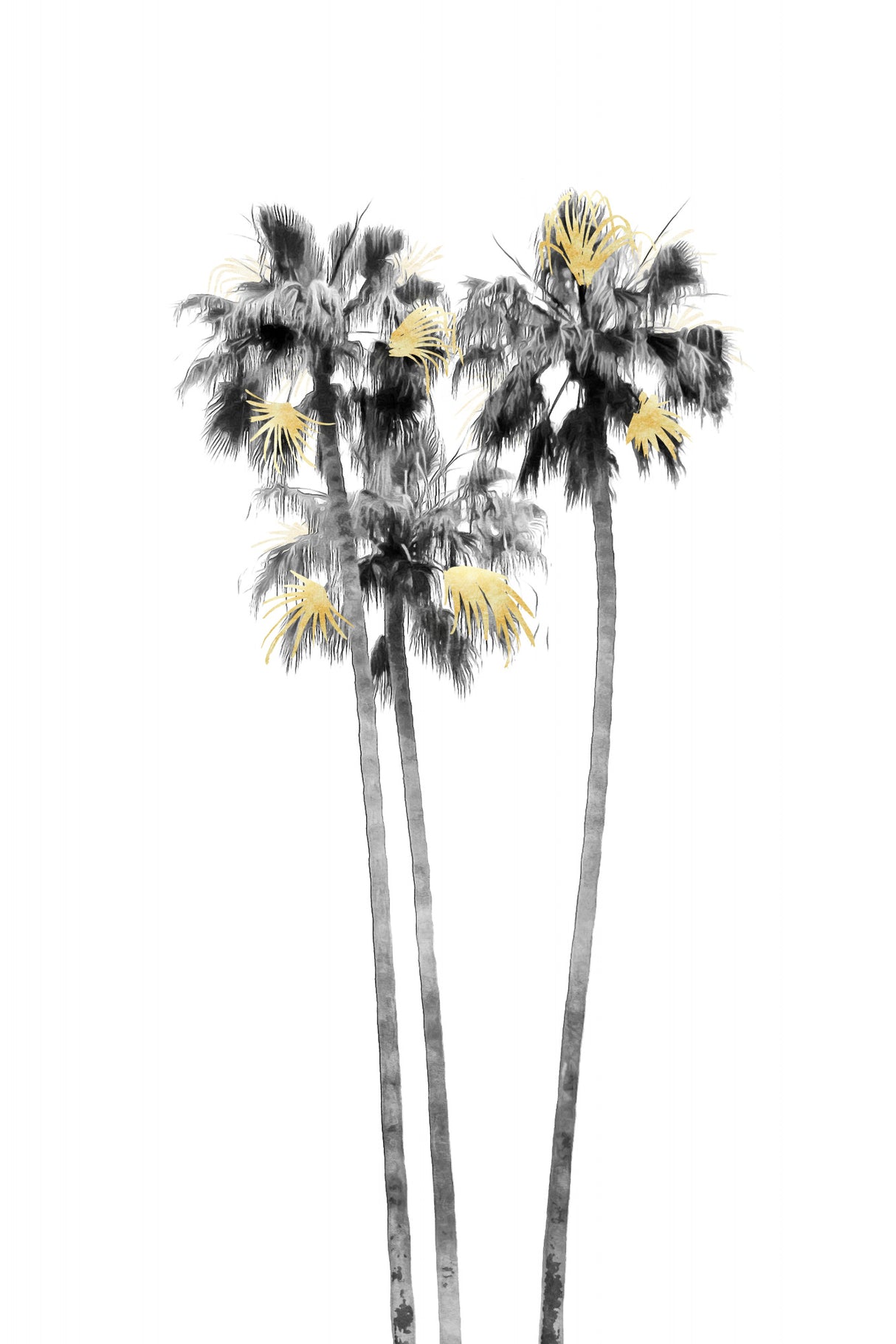 Palm Tree Black, White and Gold 03 Poster och Canvastavla