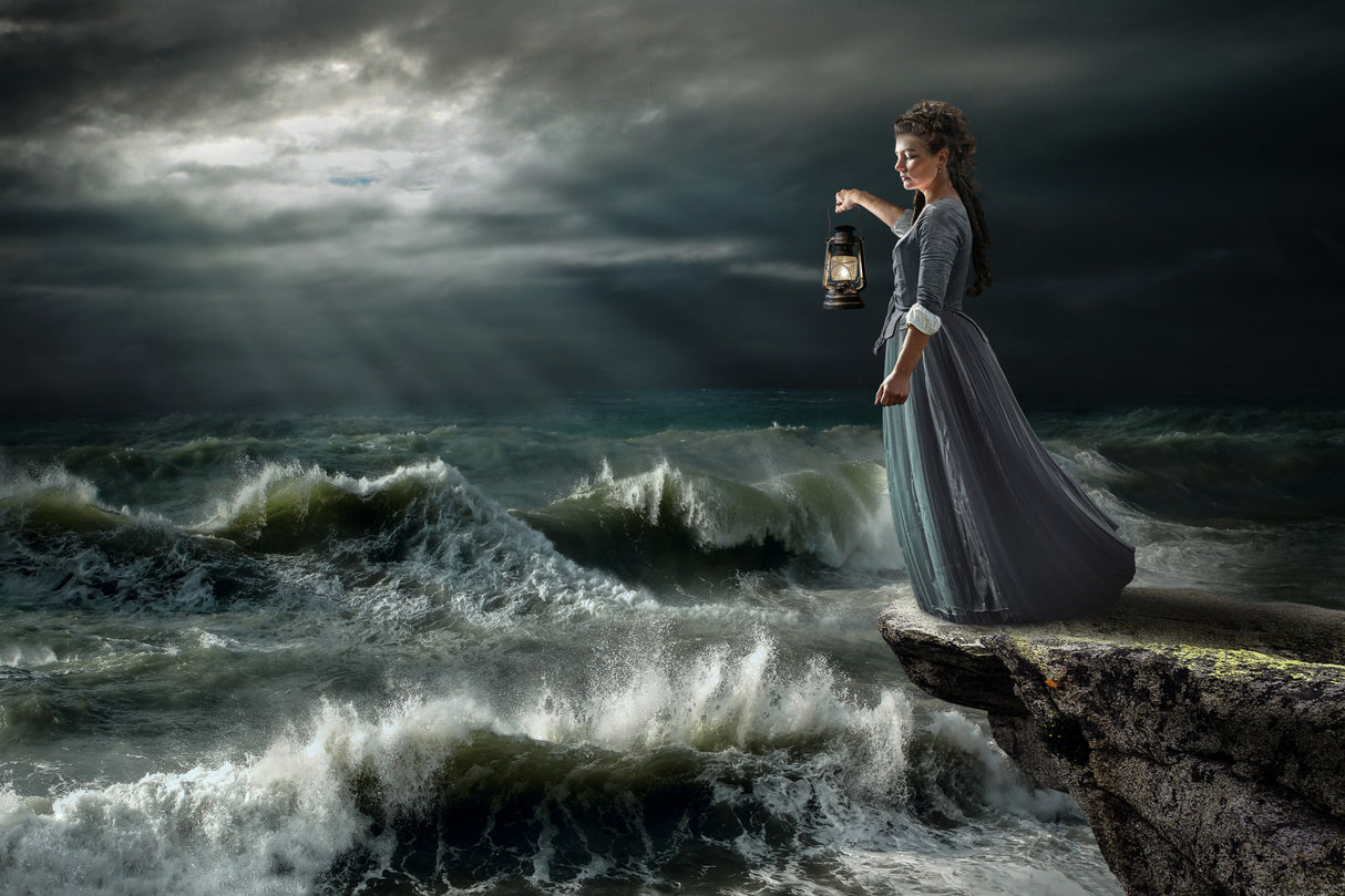 StormMaid Poster och Canvastavla