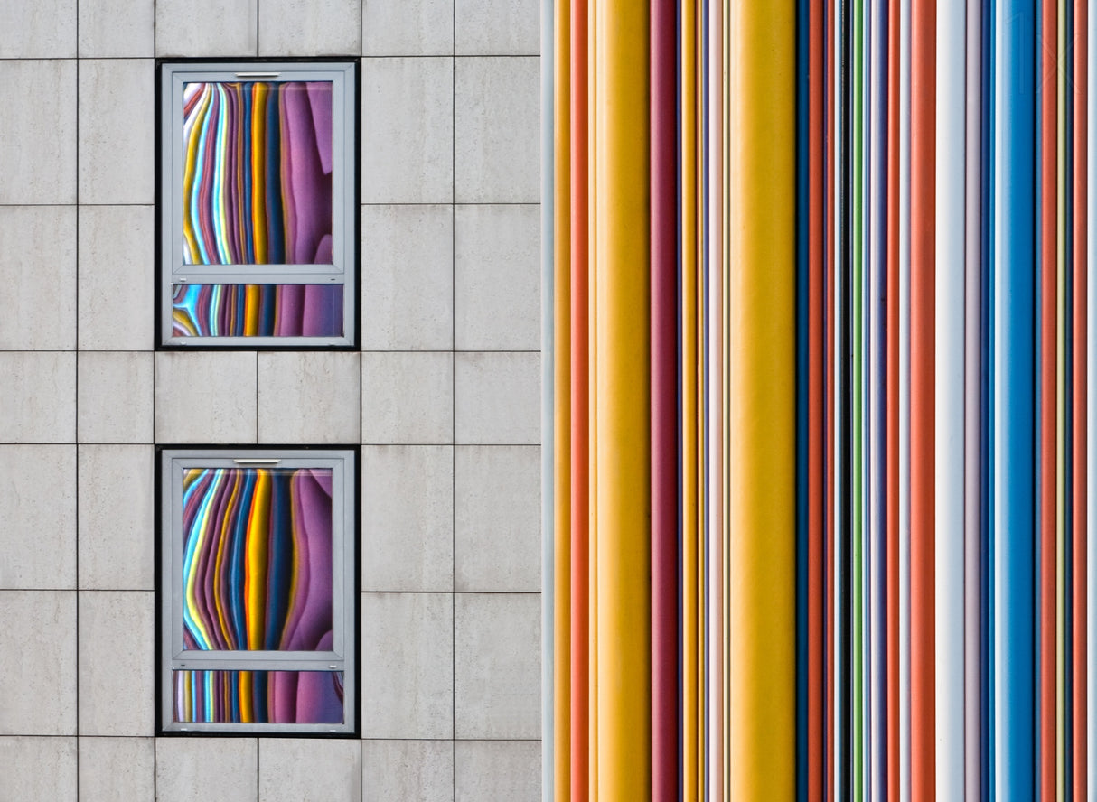 The Gray and the Colors Poster och Canvastavla