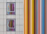The Gray and the Colors Poster och Canvastavla